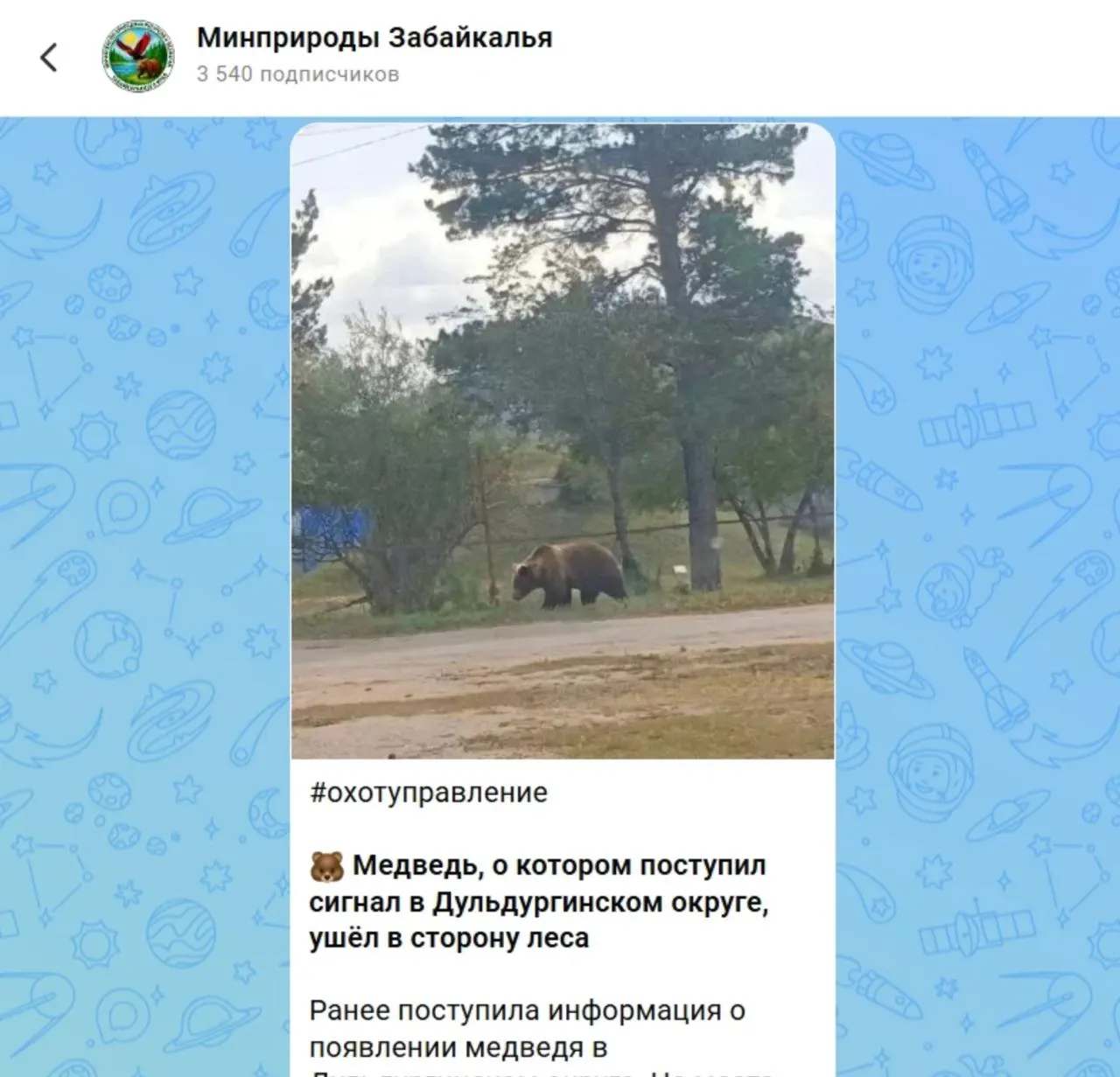 Жительницу Забайкальского края оштрафовали на 30 тысяч рублей за размещение изображения медведя и конфисковали iPhone; ситуация с дикой природой обостряется, а в Иркутской области медведь стал причиной гибели двух сборщиков ягод.