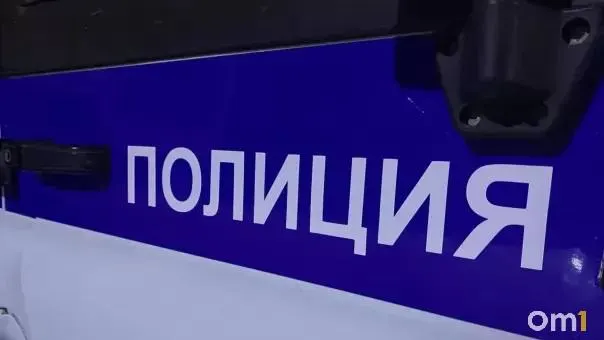 Омичка стала жертвой мошенников, продавших щенков породы мальтипу через бесплатные объявления; задержана подозреваемая, дело возбуждено по статье мошенничество.