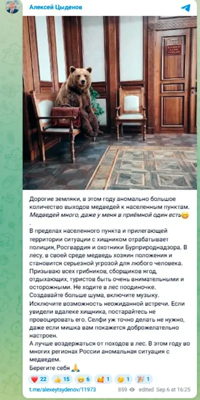 После серии инцидентов власти региона призывают к осторожности: гражданам следует избегать контактов с медведями, соблюдать дистанцию и соблюдать правила безопасности в лесах и окрестностях.