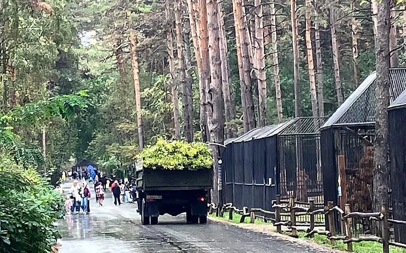 В зоопарке Новосибирска введён запрет на детские самокаты, что вызывает жалобы родителей: к концу дня ребёнок устает и его приходится нести на руках, пока по территории продолжает курсировать детский поезд и возят обломки веток.