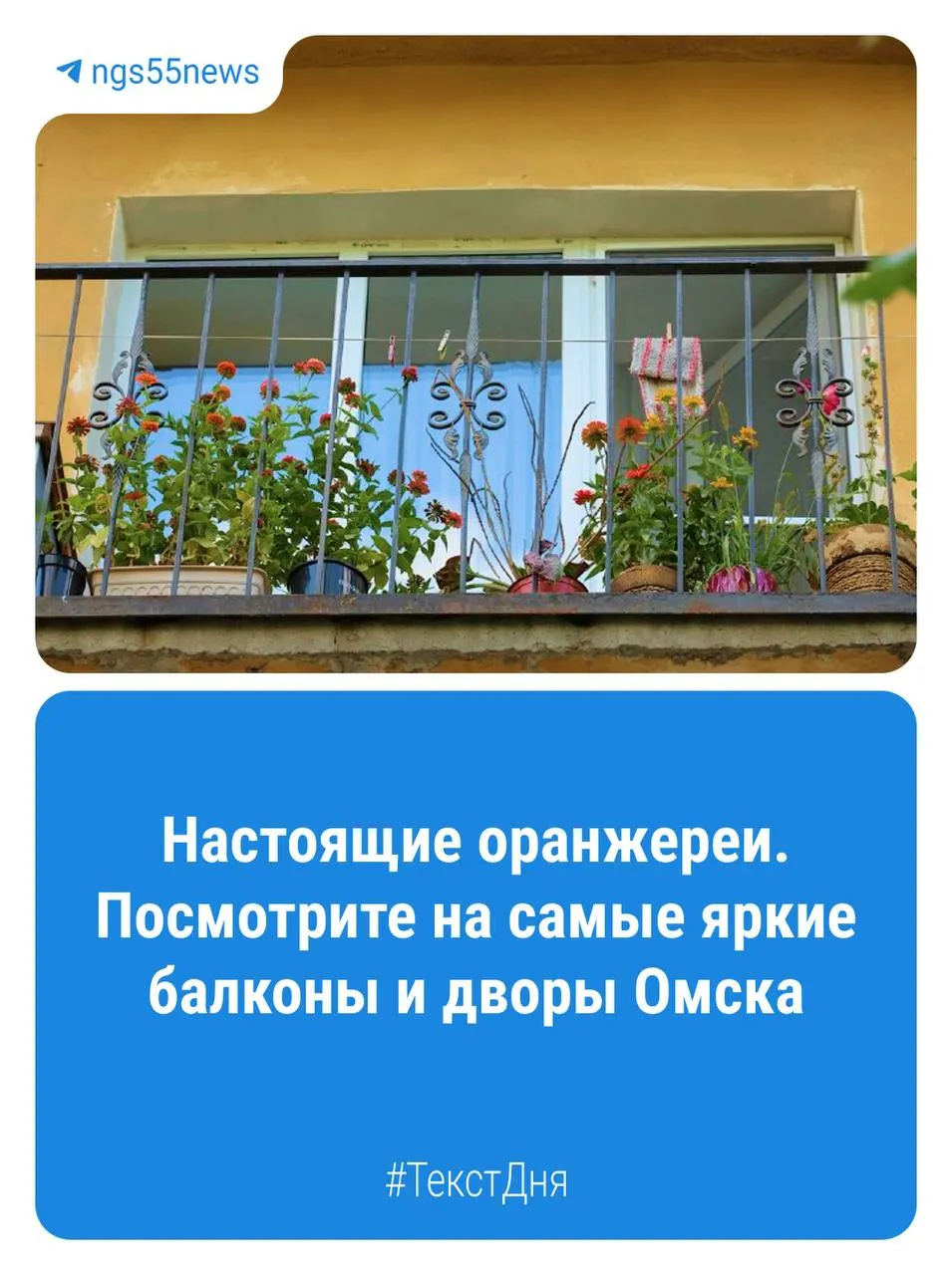 Балконы омских домов превращаются в цветущие уголки, где растения дарят городу красоту и настроение.