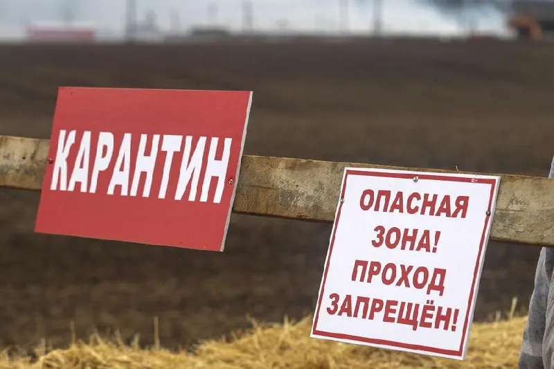 Новые очаги бешенства зафиксированы в личных хозяйствах нескольких населённых пунктов региона; введены ограничения на перемещение животных.