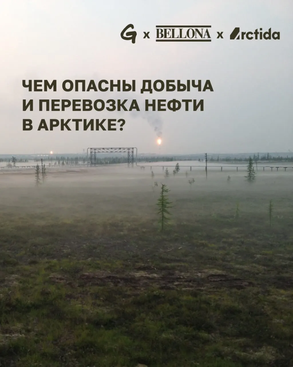 Строительство масштабного проекта по добыче нефти в Арктике сопровождается большими вложениями и угрозами для хрупких экосистем: от аварий и разливов до влияния на климат.