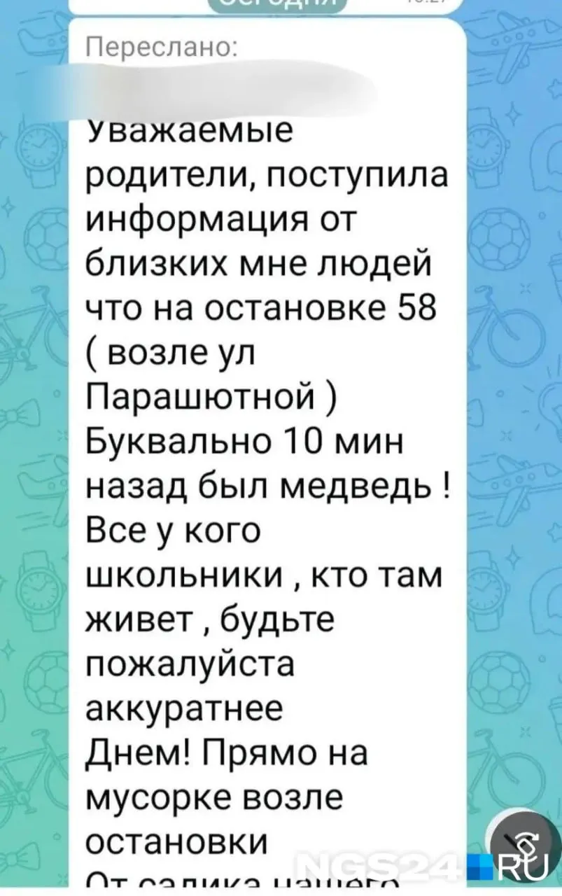 Сообщения о наблюдении зверя в районе улицы Парашютной проверяются: сотрудники выезжали на место, зверя не нашли, факт застреливания не подтверждён.