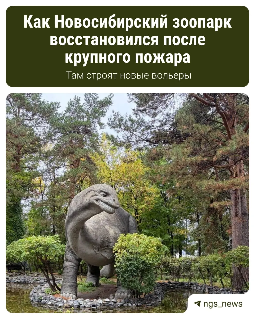 Пожар в зоопарке произошёл почти год назад: погибли пять обитателей, десятки животных удалось спасти. В тексте — подробности произошедшего и текущие изменения.