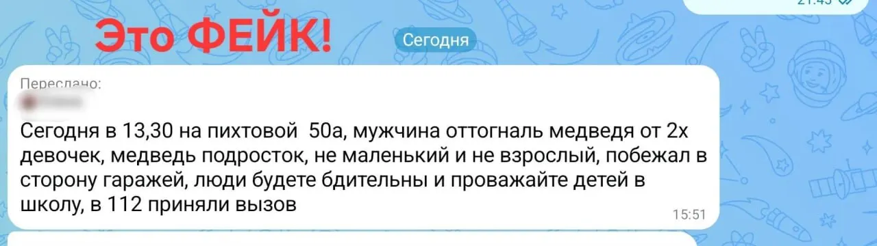 Городские власти призвали жителей не верить слухам и проверять факты после волны ложных сообщений о медведях.