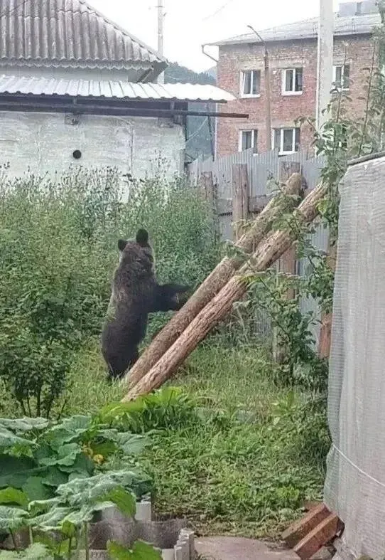 В Слюдянском районе Иркутской области запретили массовые школьные линейки и проведение мероприятий на улице; установлен комендантский час с 21:00 до 7:00.