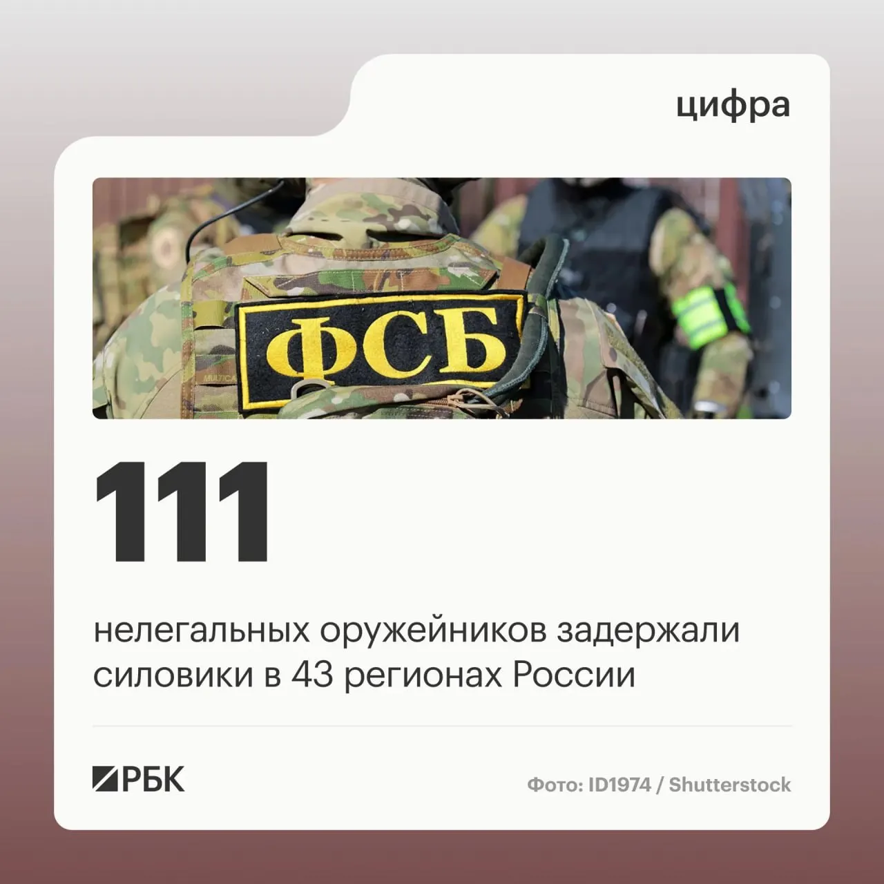 Задержанные занимались восстановлением боевых характеристик гражданского оружия и его продажей; операции привели к закрытию 37 подпольных мастерских и охватили 43 региона.