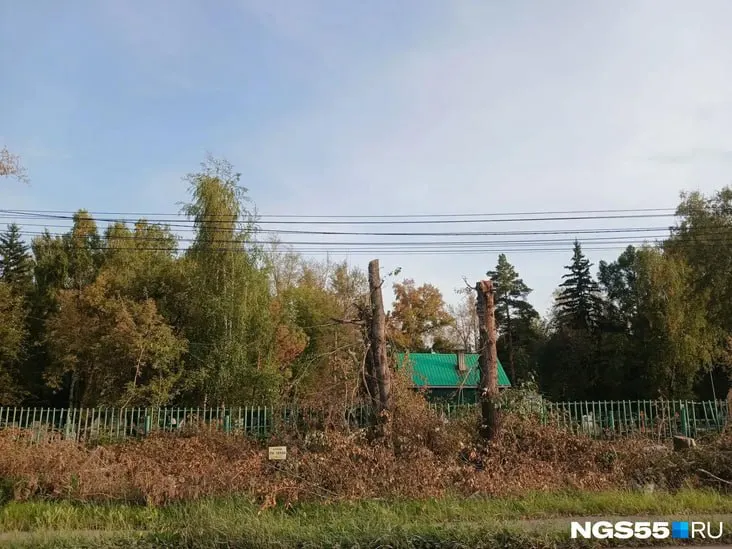 Во время работ по реконструкции участка от путепровода до «Бауцентра» рабочие удаляют десятки тополей старше 30 лет. Стоимость контракта — около 900 млн рублей, исполнителем выступает «АртРемстрой» Карена Мартояна.