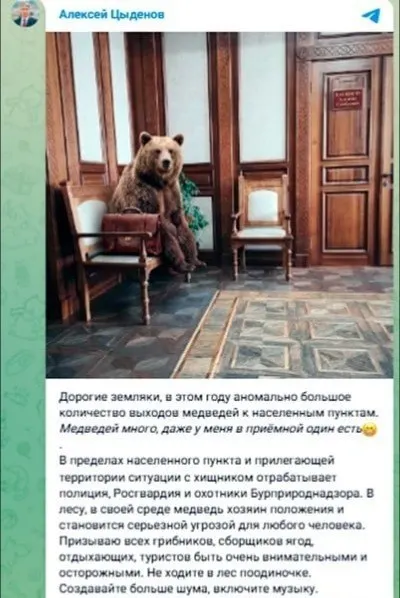 Зафиксировано более 70 выходов медведей в населённые пункты Республики Бурятия; утром в Закаменском районе медведь напал на мужчину, пострадавшего госпитализировали.
