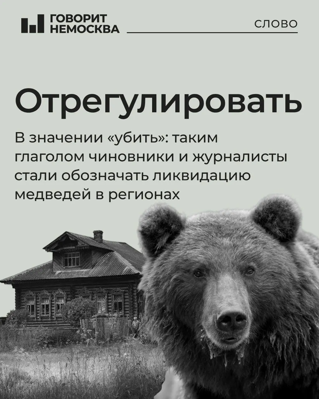 Новые правила регулирования численности медведей вызывают споры: в регионах Сибири фиксируются случаи контактов людей с медведями, а лексика в СМИ вызывает критику.