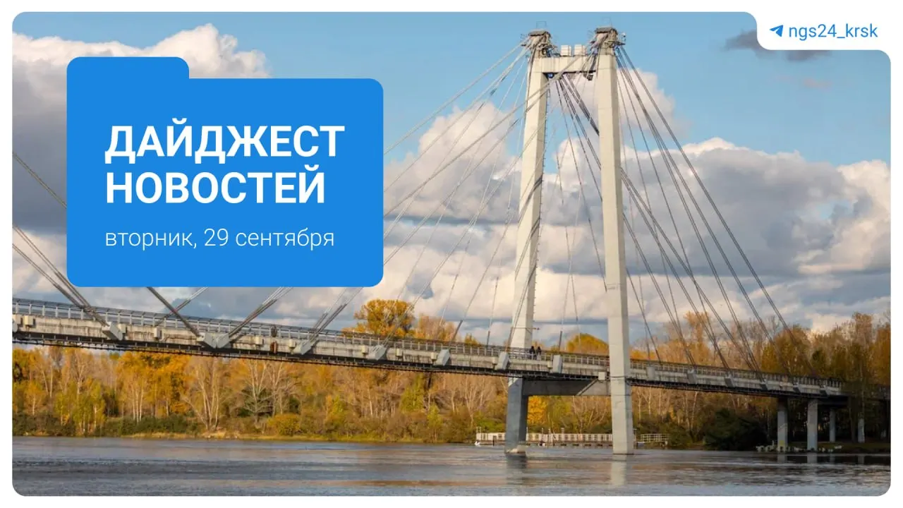 В регионе произошли несколько заметных событий: смертельная массовая авария в Красноярске, 19 встреч с дикими медведями, конфликт между подростками в Новоенисейске и передача автомобиля для ФАПа в таежном поселке.