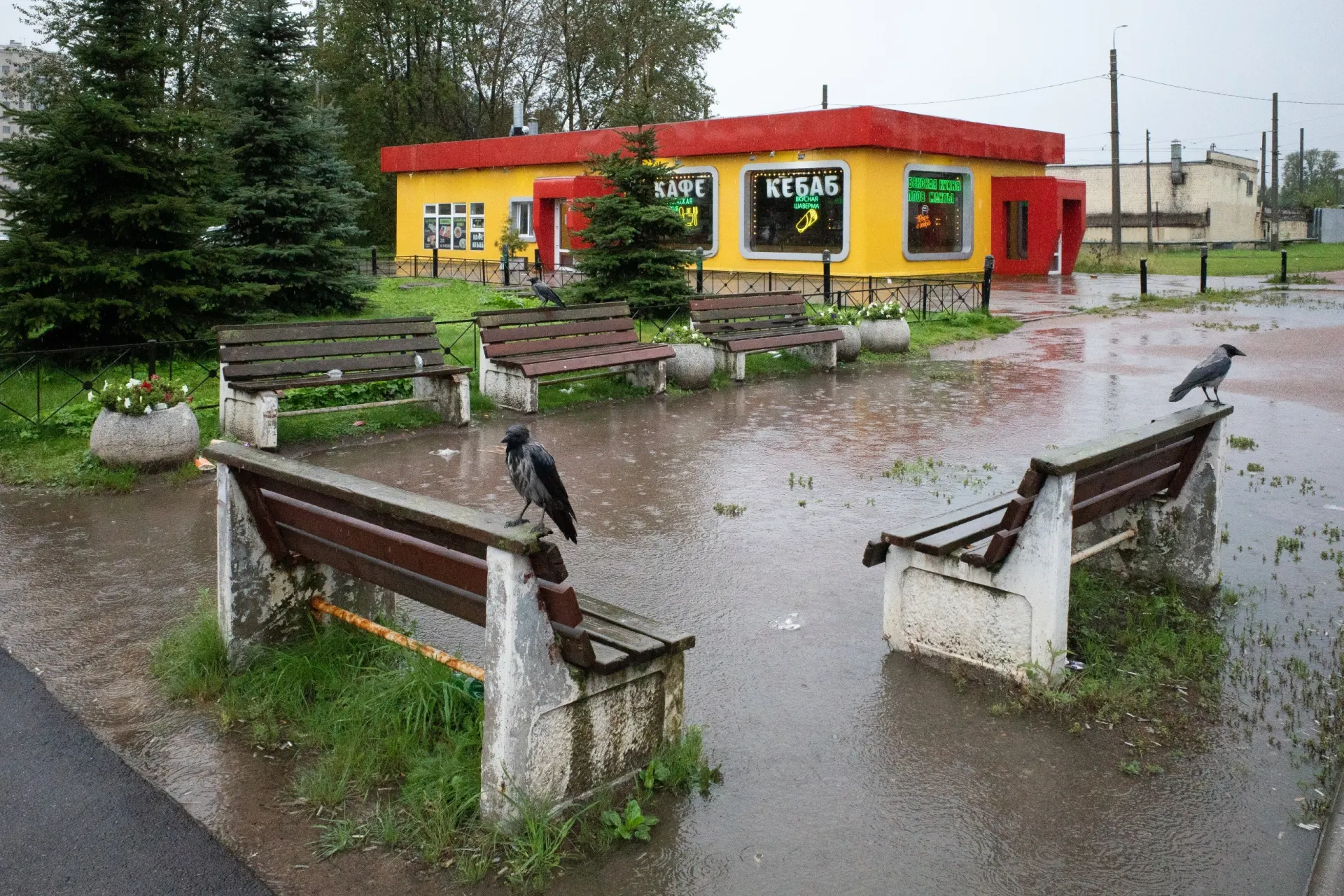 Короткая сводка событий в Санкт-Петербурге, по России и миру: семейные разборки, политические эпизоды и новости на фоне международной обстановки.