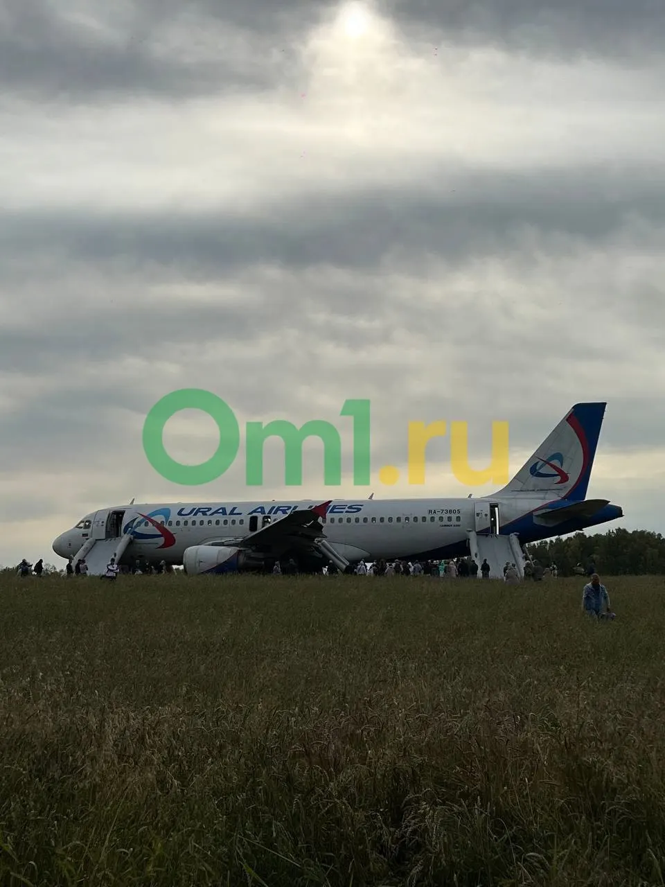По объявлениям продаются детали, которые якобы являются фрагментами Airbus A320 «Уральских авиалиний» после посадки в поле Новосибирской области.