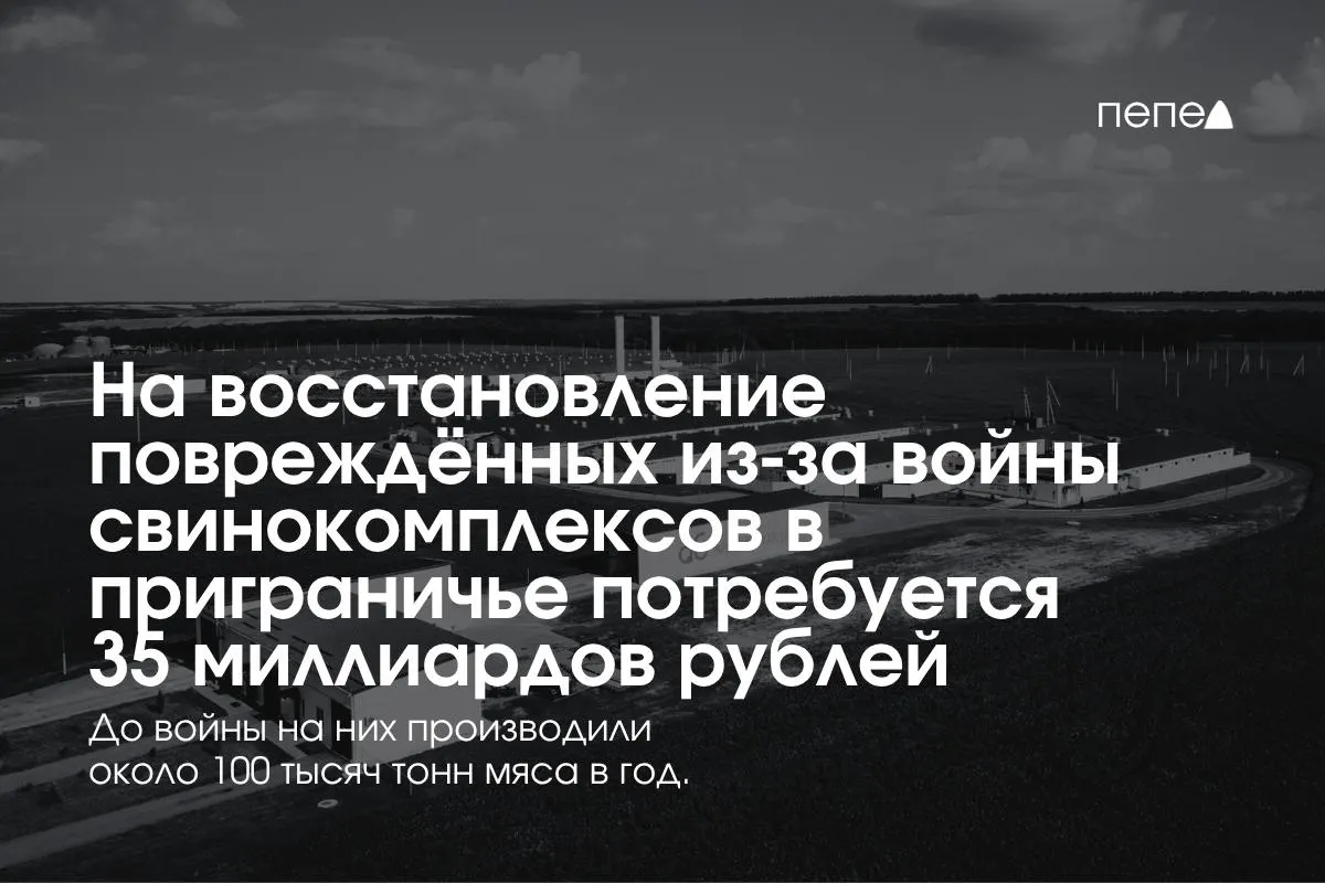 В приграничных Белгородской, Курской и Брянской областях планируется восстановление мощностей после обстрелов и атак БПЛА; в регионе значительная доля российского мясопроизводства.