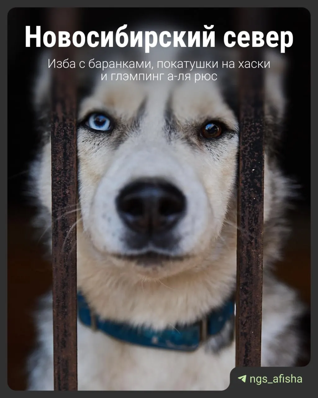Рассказываем о семи маршрутах вокруг Новосибирска и о том, как приятно провести уикенд в регионе.