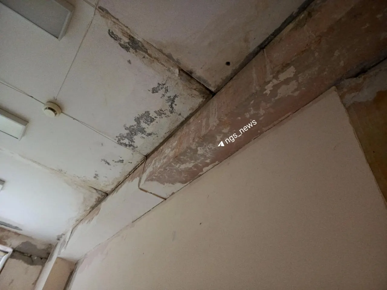 Протечки в крыше и техническом этаже над двумя палатами устранены; проводится косметический ремонт, угрозы эпидемиологической безопасности нет.