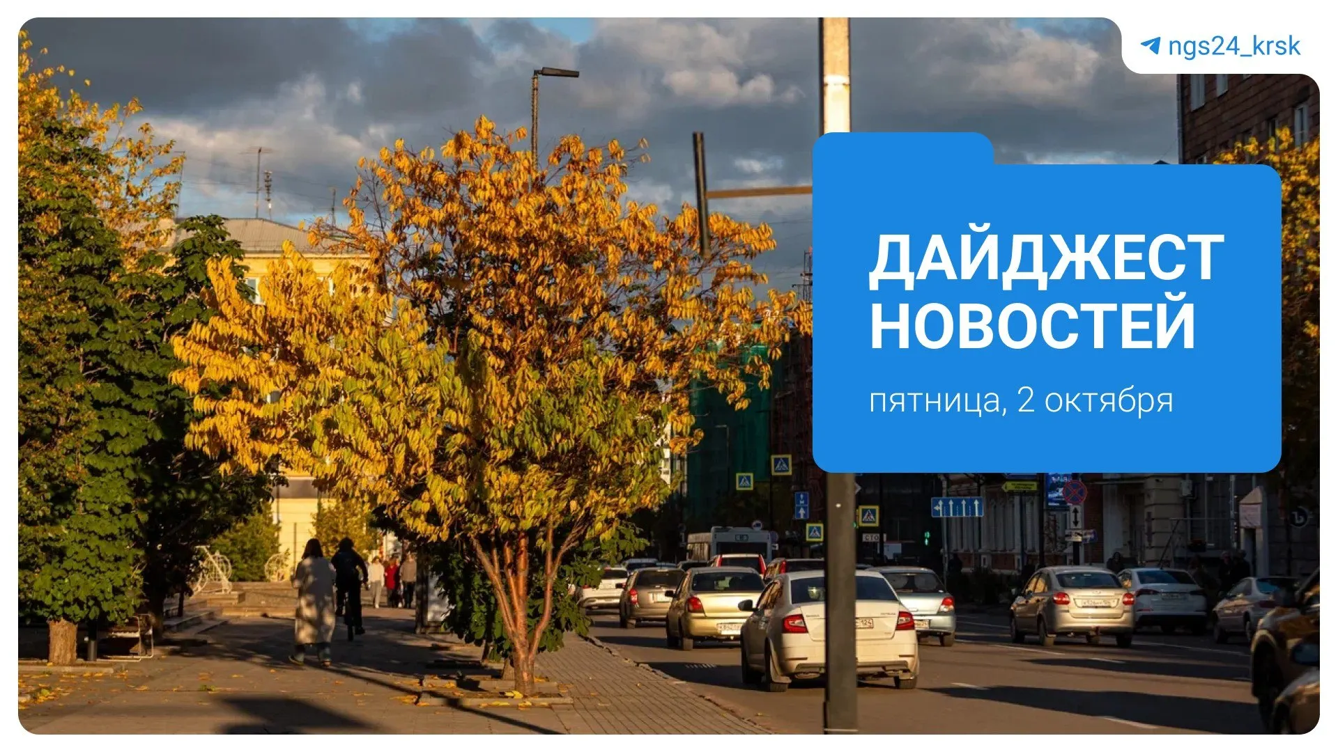 Региональные заметки на 2 октября: карантин из-за инфекции в Иркутской области, находка убитого медведя у дачи в Красноярском крае, открытие дневного стационара для детей в Красноярске, обновления по работе метро и инцидент на дороге с самокатчиком.