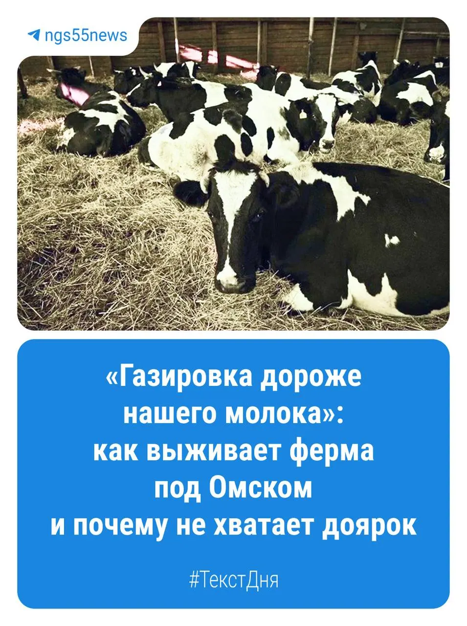 В регионе сосредоточено множество крестьянско-фермерских хозяйств, основное направление — растениеводство; лишь немногие занимаются животноводством и молочным производством. Региональные фермеры планируют развитие, но сталкиваются с трудностями.