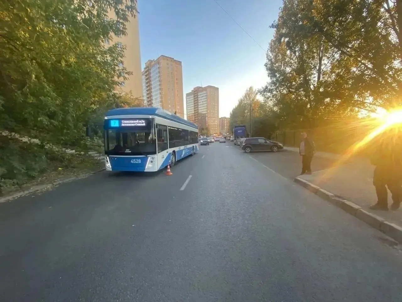 Девочка переходила дорогу в неположенном месте; водитель троллейбуса попытался избежать наезда и резко затормозил, из-за чего пострадавшая упала.