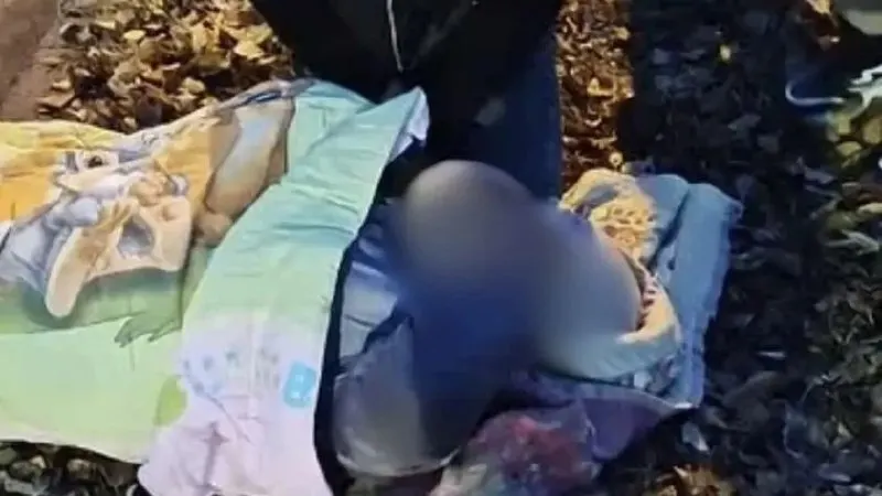 ДТП возле Алтайской академии гостеприимства: пострадавшую увезли на скорой, водитель остался на месте, обстоятельства выясняются.