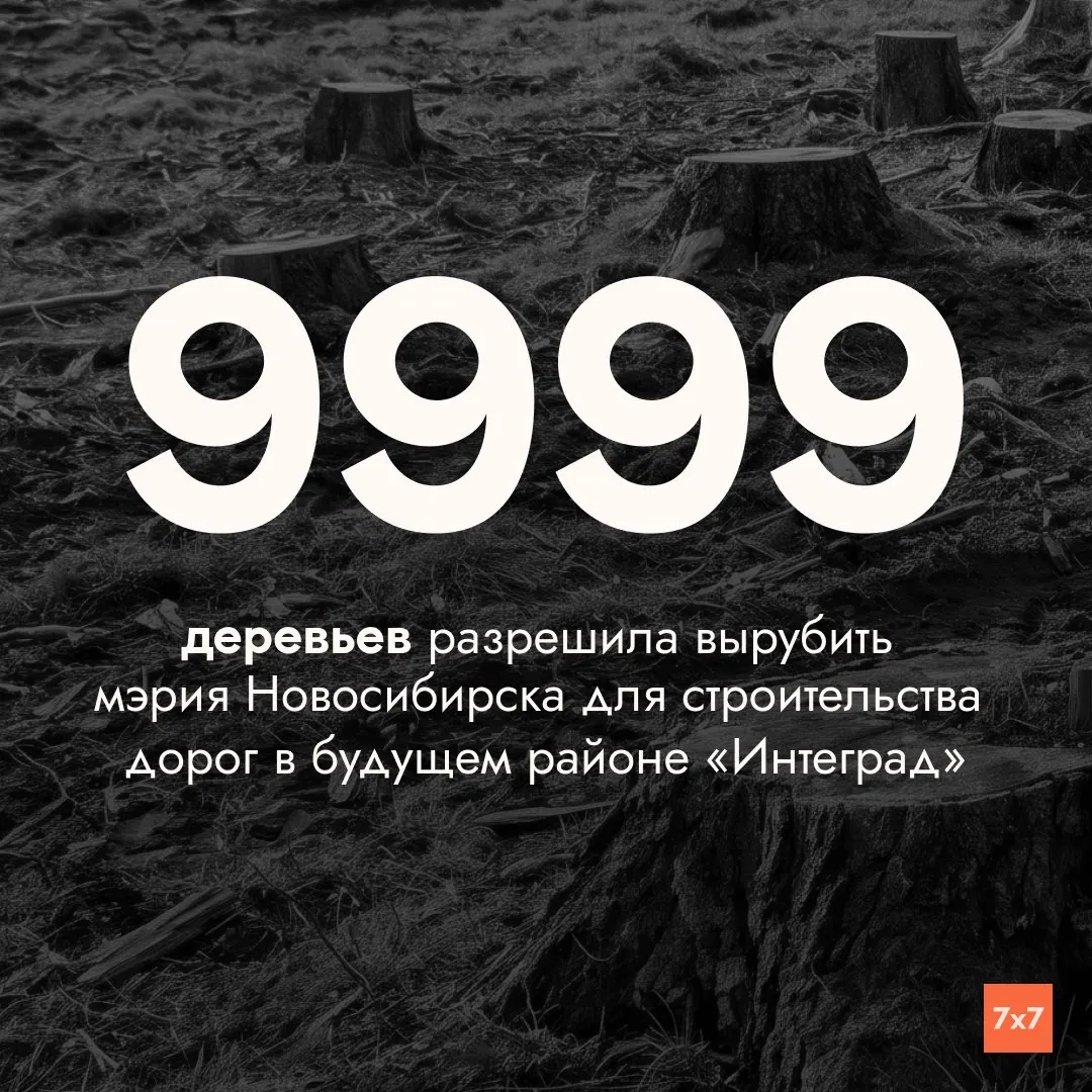 Расчистку территории под будущий район Интеград запустили в Новосибирске; сроки — до конца года, обсуждаются лесные участки и показатели проекта.