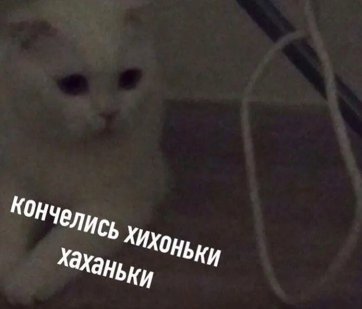 Установлено шесть краж, в ходе которых были похищены отбойные молотки, электрогенераторы, сварочные аппараты и другое оборудование. Суд признал мужчину участником преступлений; ему назначено 4,5 года колонии и возмещение ущерба в 287 тысяч рублей.