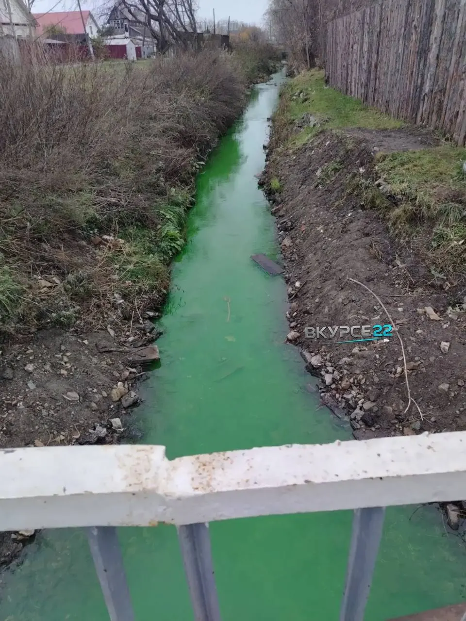 Жители заметили ярко-зелёную окраску воды; вероятная причина — проверка теплосетей.
