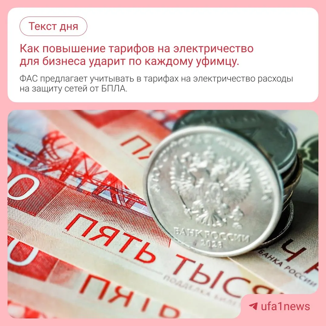 Новая инициатива может повлиять на тарифы и цены: экономисты объясняют связь между защитой сетей от беспилотников и расходами компаний.