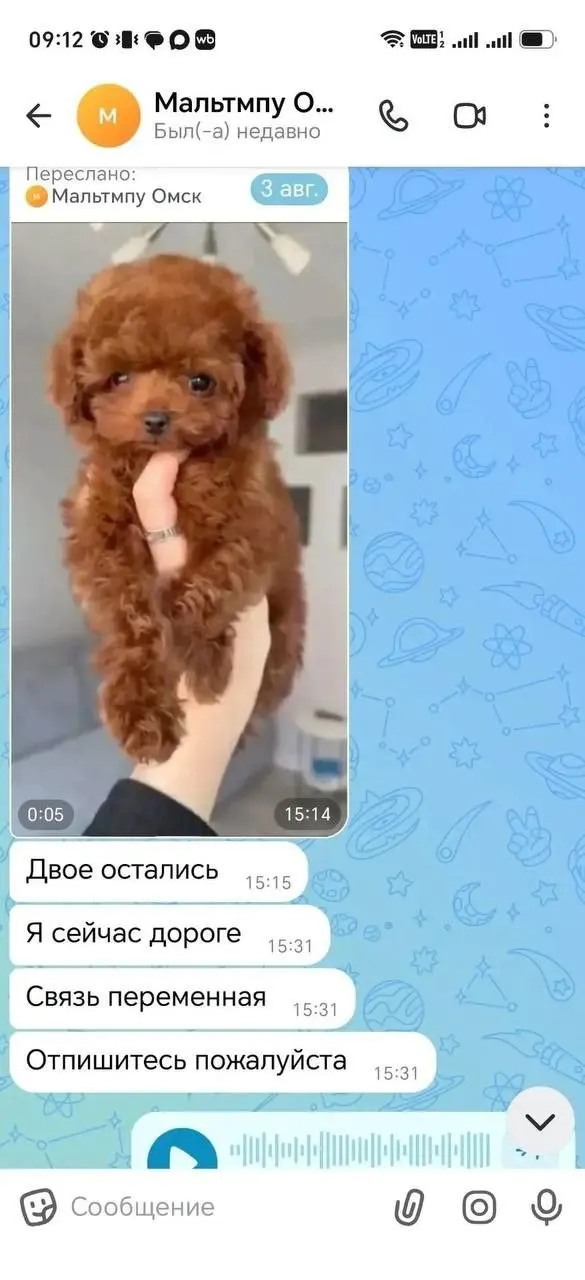 Покупательницы заплатили за щенков примерно 250 тыс. рублей, но не получили животных; злоумышленница придумывала оправдания задержки и исчезла.