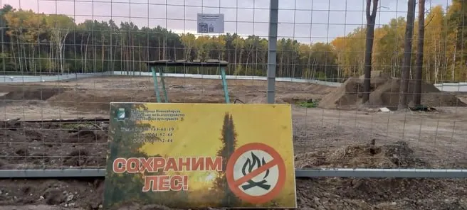 В Новосибирске IT‑компания вырубила более 140 деревьев в парке «Сосновый бор» и пробурила скважины под фундамент. Местные жители собрали около 4000 подписей и обратились в СК и прокуратуру после того, как участок вывели из лесничества для застройки.
