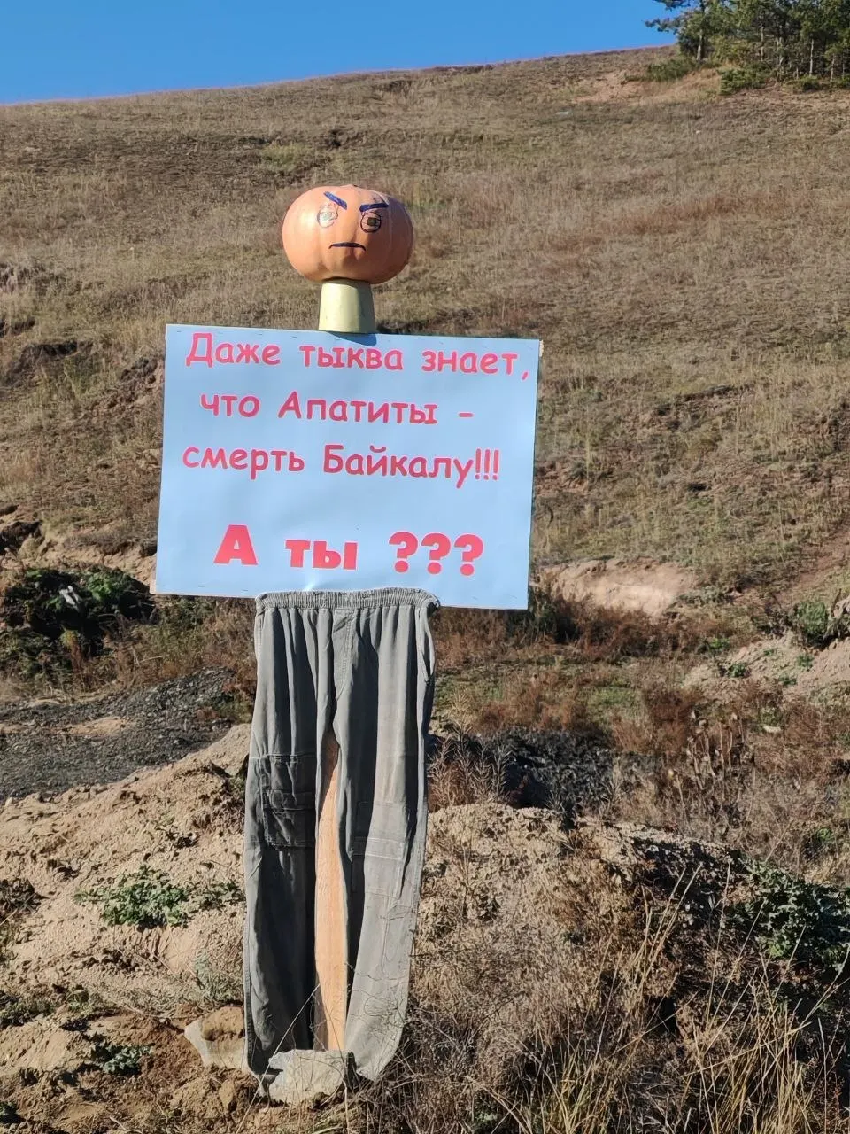 Местные активисты устроили акцию с овощными чучелами и плакатами против добычи апатитов вблизи жилых домов, обсуждая экологические и социальные последствия.