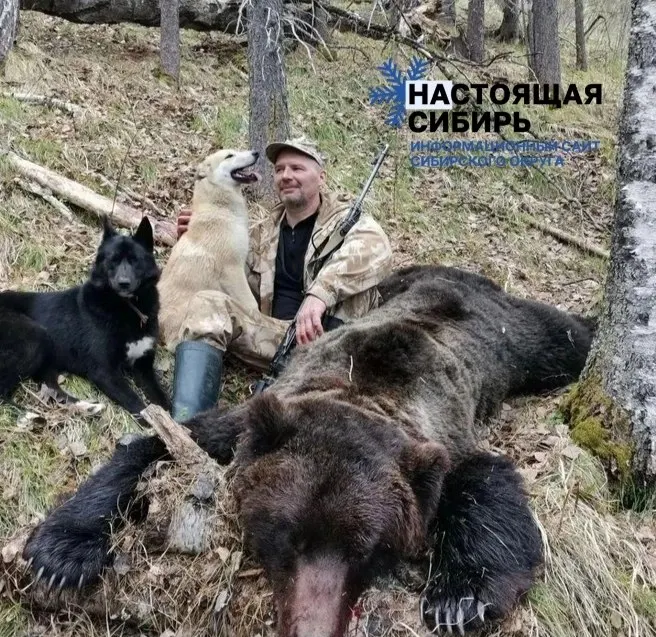 Жители Абазы в Хакасии организуют независимые патрули против набегов медведей: применяют квадрокоптеры и тепловизоры, чтобы защитить дома. За два месяца ликвидировано десятки зверей, а зима может усилить угрозу.
