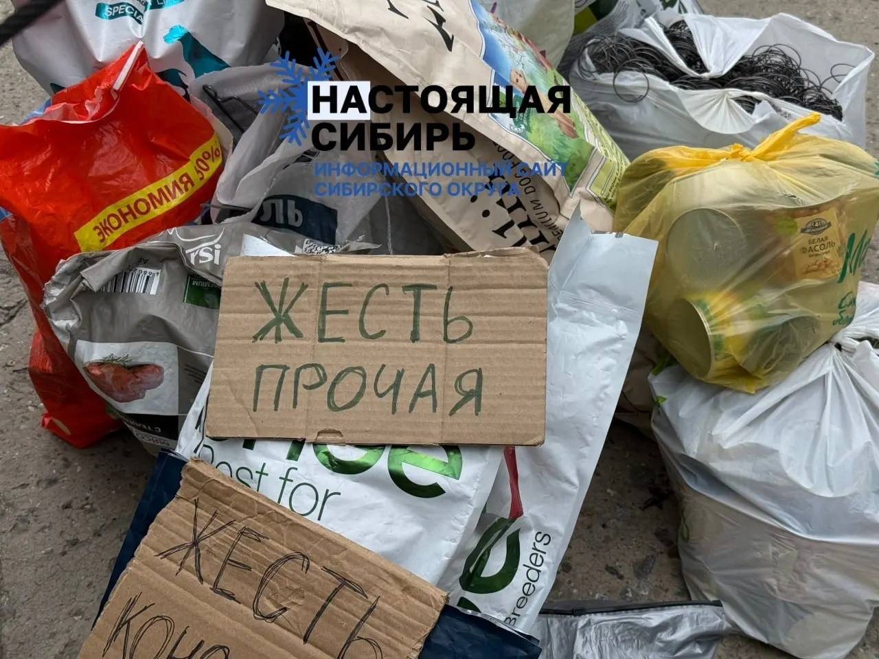 Горожане организуют сбор вторсырья в нескольких локациях: Советский район и Ложок. Нужны волонтёры для координации будущих сборов.
