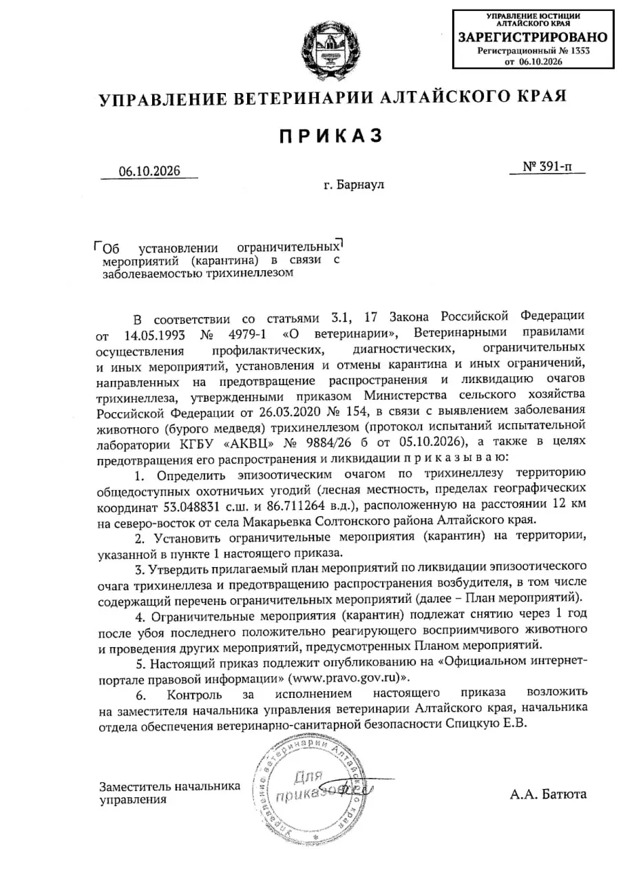 В Солтонском районе введён карантин после обнаружения очага трихинеллеза у бурого медведя. Остановлены охота на восприимчивых животных и вывоз кормов; проводится взятие проб и дезинфекция. Карантин продлится год после устранения последствий инфекции.