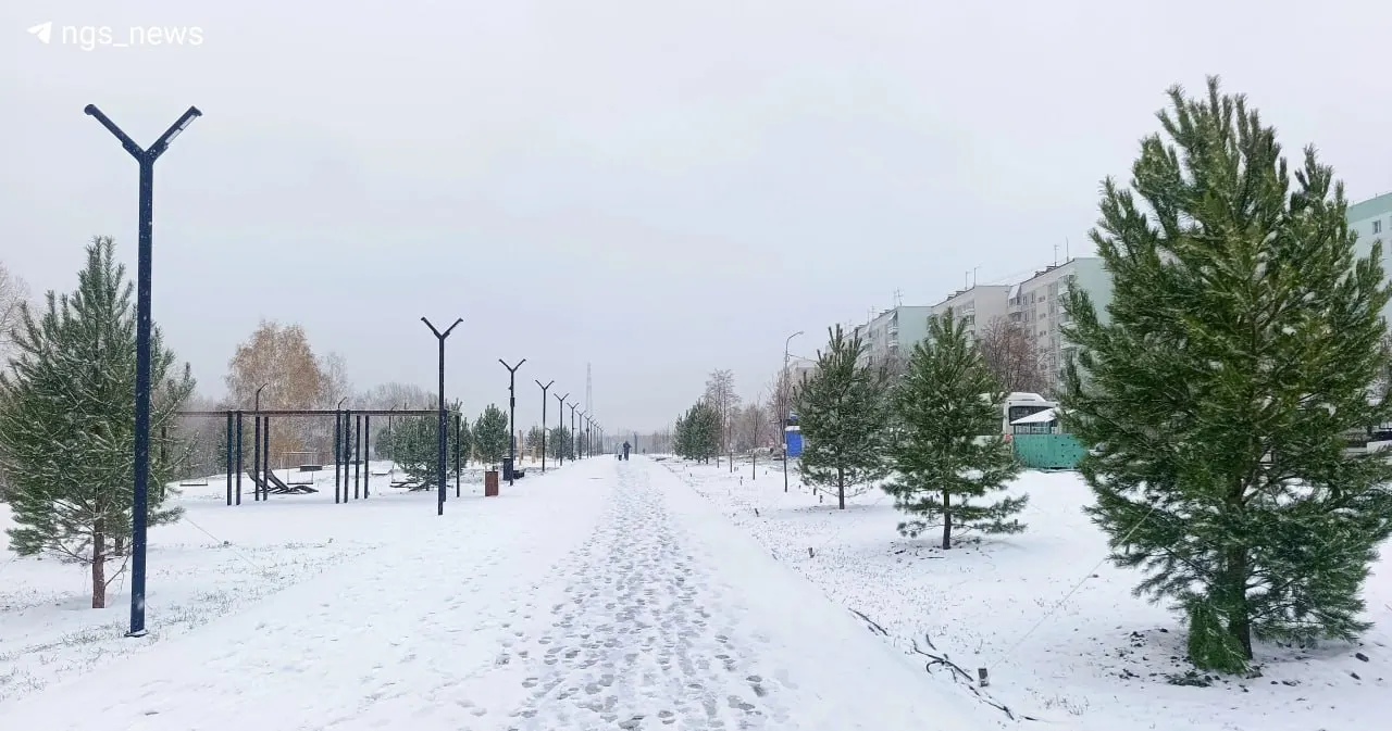 Проверяем ход работ над парком в городе: сроки затянулись, но открытие состоялось.