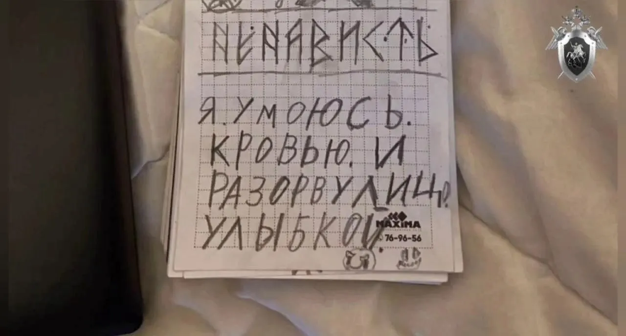 Подростки из Красноярска и Железногорска создали экстремистское сообщество; большинство обвиняемых получили условные наказания, единственная женщина — реальный срок.