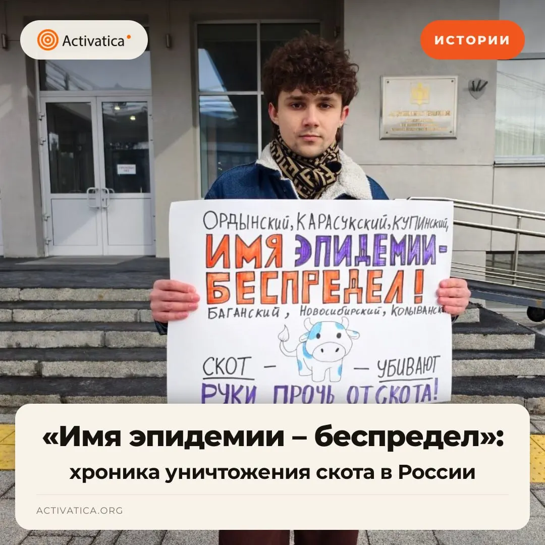 Под предлогом эпидемий уничтожают скот в частных хозяйствах, что вызвало волну протестов фермеров, массовые штрафы и уголовные дела.