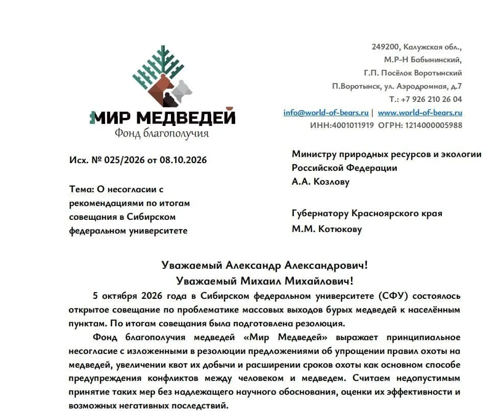 Калужский фонд «Мир медведей» попросил губернатора Красноярского края и руководителя Минприроды России не поддерживать предложения по расширению охоты на бурых медведей и упрощению выдачи разрешений.