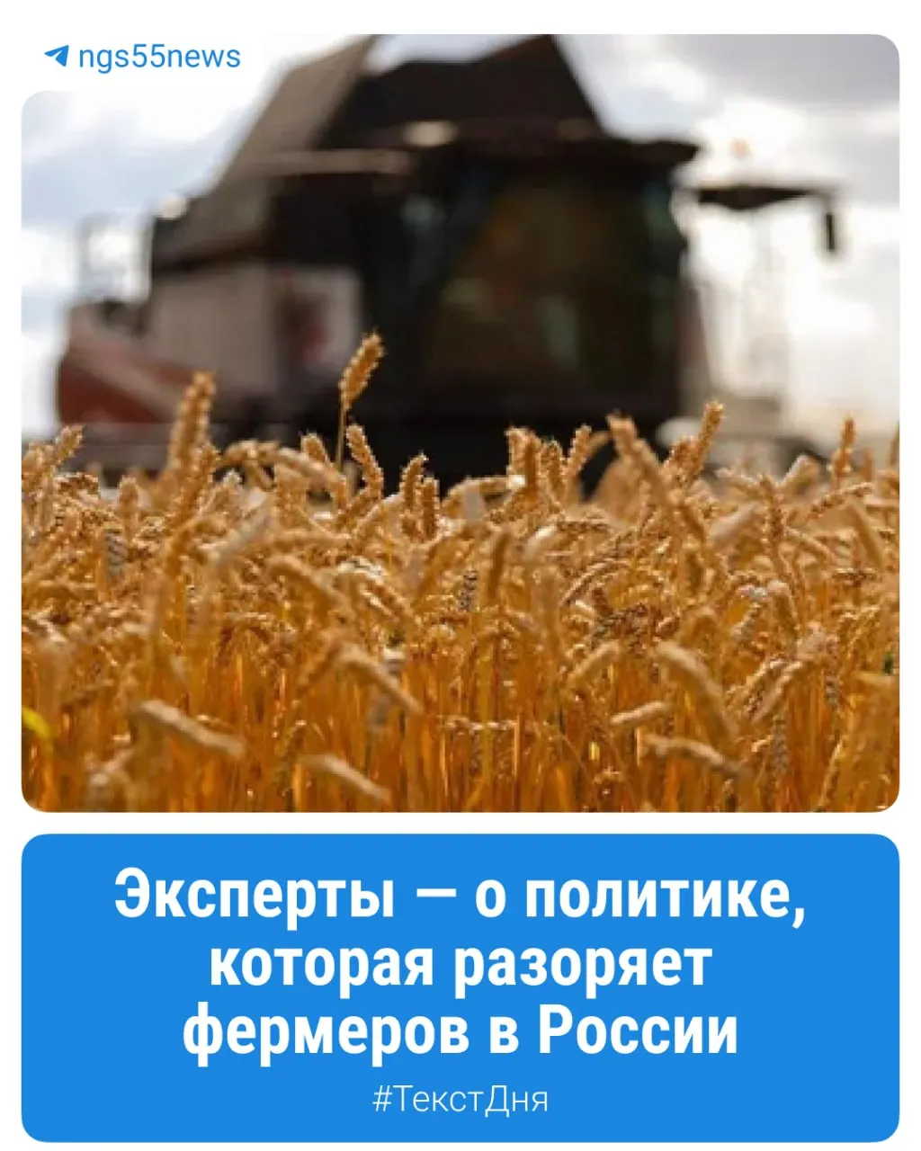 Себестоимость зерна превышает закупочную цену, расходы растут, сотни хозяйств Омской области закрылись; фермеры ищут способы выжить.
