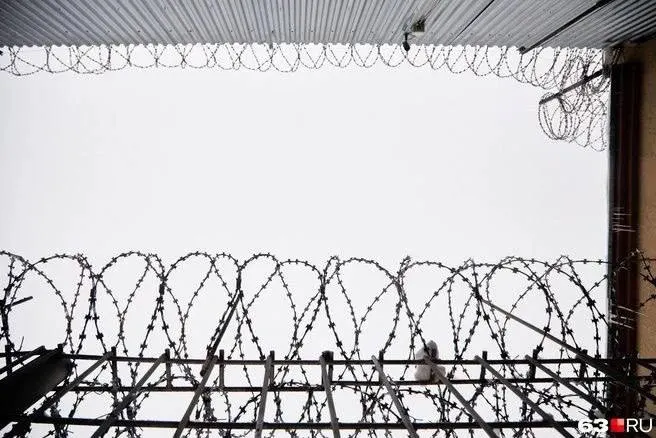 В парке Рима найдены тела 28-летней Анастасии Трофимовой и её 11-месячной дочери. Подозреваемый — гражданин США, задержанный в Греции; ранее имел судимости за домашнее насилие. Ему грозит пожизненное заключение.