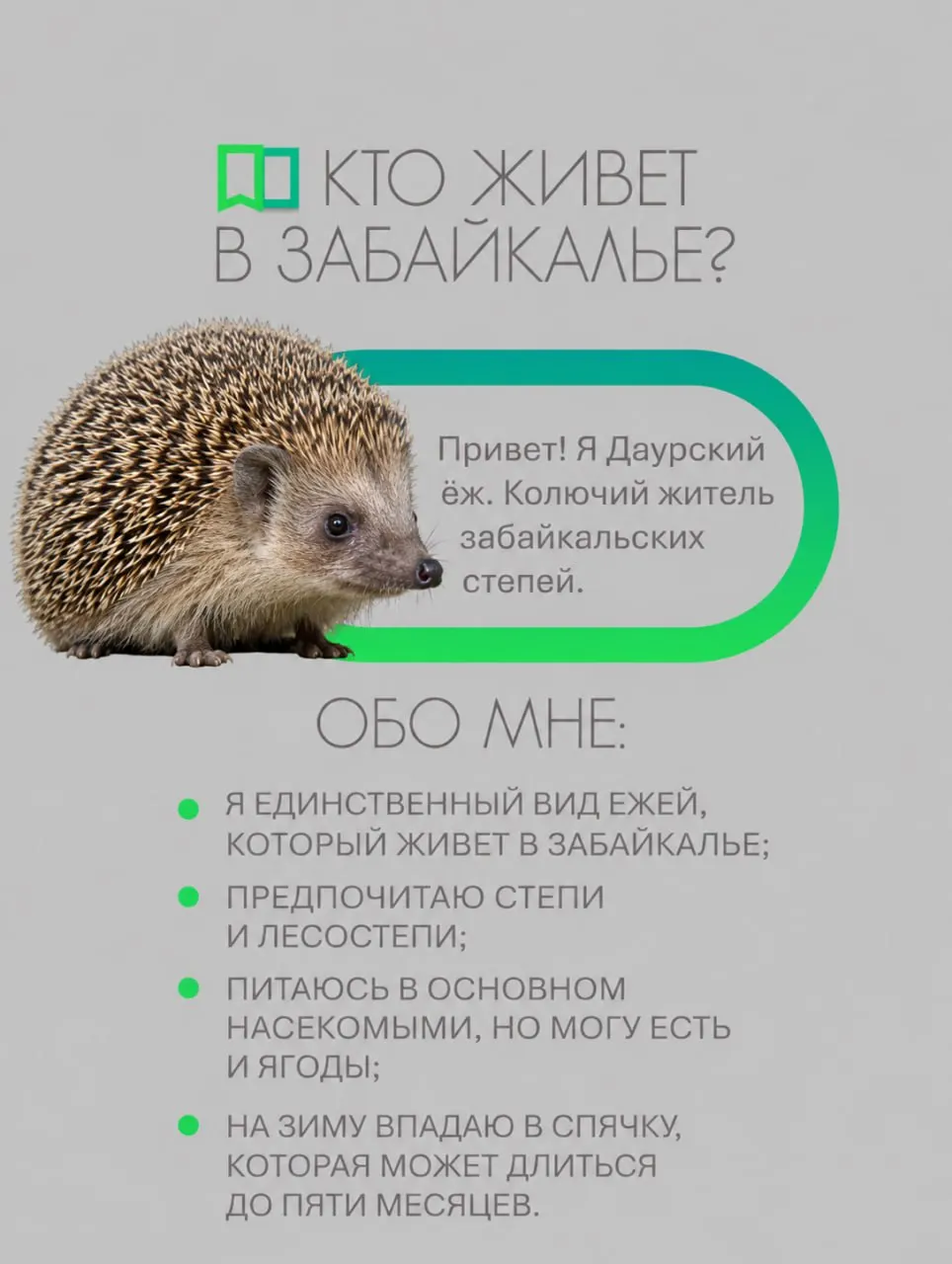 Даурский ёж — единственный еж в Забайкалье; он занесён в региональную и всероссийскую Красную книгу и нуждается в сохранении своего местообитания.