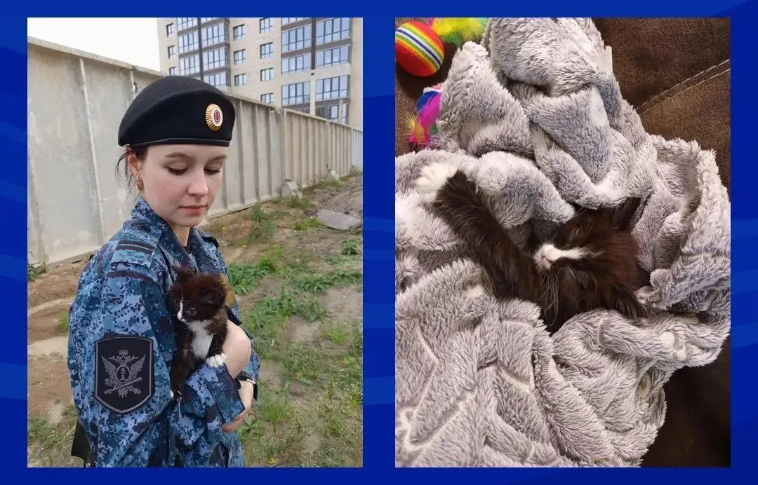 Младшая судебная пристав нашла дрожащего котёнка во дворе и организовала передержку; спустя несколько дней животное обрело дом у сотрудника Главного управления.
