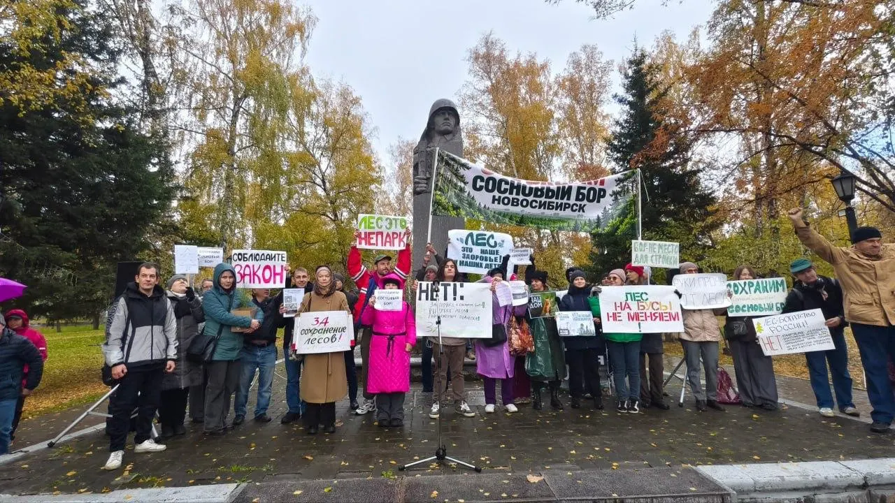 Сегодня около 300 горожан вышли на митинг против вырубки деревьев в Сосновом бору; активисты требуют сохранить лес и не допустить строительство на его территории.
