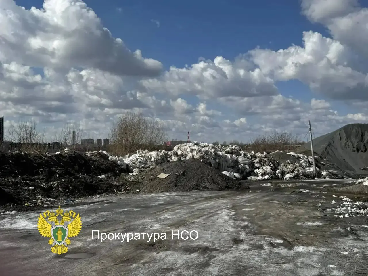 Прокуратура добилась ликвидации незаконной свалки в Железнодорожном районе у берега Оби; ликвидация завершена, должностное лицо округа получило дисциплинарное взыскание.